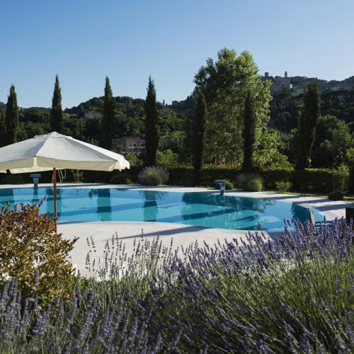 Piscina con ombrellone, lavanda e cipressi in un paesaggio collinare.