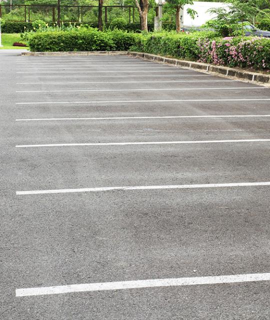 Parcheggio vuoto con strisce bianche e siepi sullo sfondo.