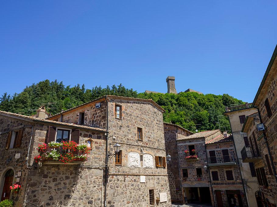 Borgo medievale con case in pietra, fiori e torre su collina verde.